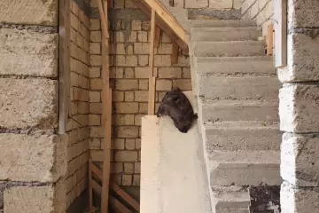 Satılır Həyət Evi Masazırda