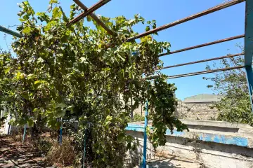 Satılır Torpaq Bilgəhdə