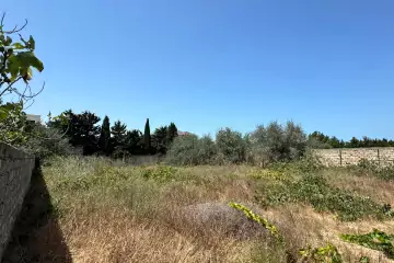 Satılır Torpaq Bilgəhdə