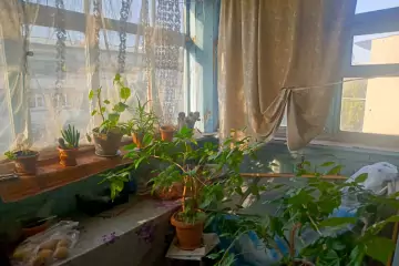 Satılır Köhnə Tikili Gənclikdə