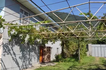 Günlük Kirayə Həyət Evi Qax Rayonunda 