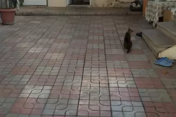 Satılır Həyət Evi Univermaqda