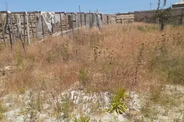 Satılır Torpaq Zirədə