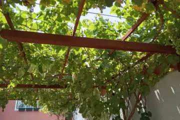 Satılır Həyət Evi Maştağada