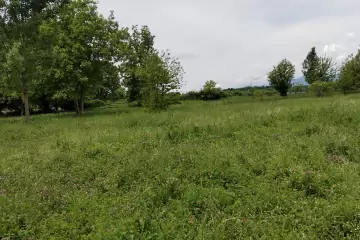 Satılır Torpaq Tüntül Kəndində