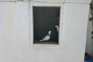 Satılır Həyət Evi Maştağada