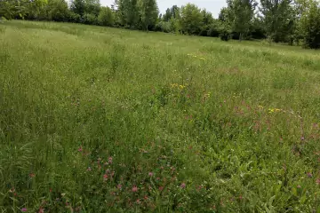 Satılır Torpaq Tüntül Kəndində