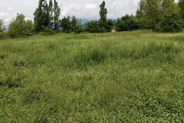 Satılır Torpaq Tüntül Kəndində