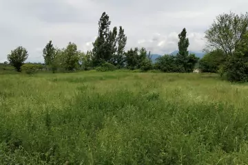 Satılır Torpaq Tüntül Kəndində 