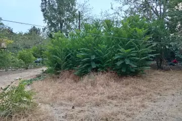 Satılır Köhnə Tikili Biləcəridə