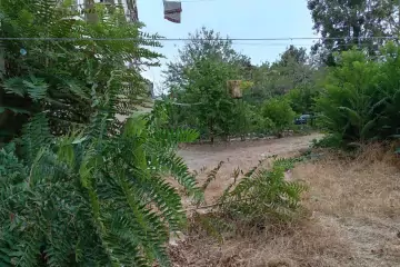 Satılır Köhnə Tikili Biləcəridə