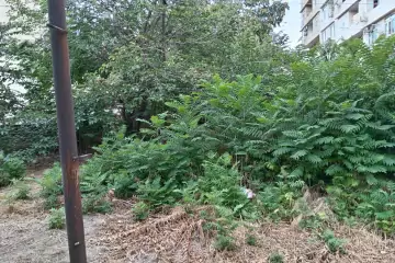 Satılır Köhnə Tikili Biləcəridə