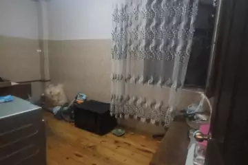 Satılır Yeni Tikili Masazırda