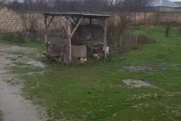Satılır Torpaq Ramanada