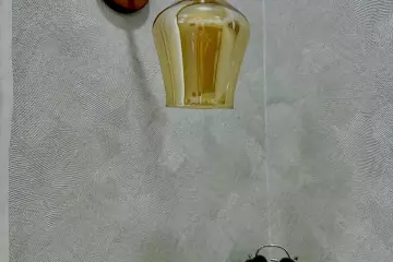 Satılır Köhnə Tikili Biləcəridə