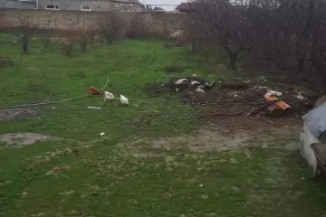 Satılır Torpaq Ramanada 