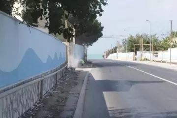 Satılır Bağ Evi Pirşağıda