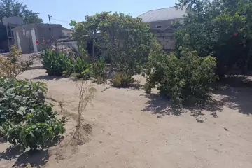 Satılır Həyət Evi Bilgəhdə