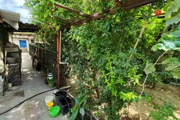 Satılır Həyət Evi Bakıda 