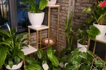 Satılır Yeni Tikili Bakı Kinoteatrıda