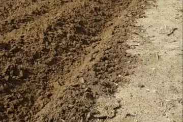 Satılır Torpaq Nardaranda