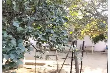 Satılır Torpaq Maştağada