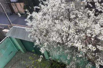 Satılır Həyət Evi Binəqədidə