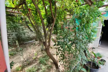 Satılır Həyət Evi Bakıda