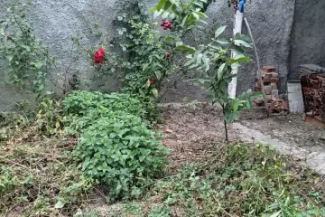 Satılır Həyət Evi Xızı Rayonunda