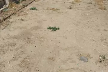 Satılır Torpaq Aşağı Güzdəkdə