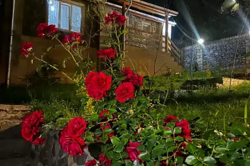 Günlük Kirayə Həyət Evi Quba Rayonunda