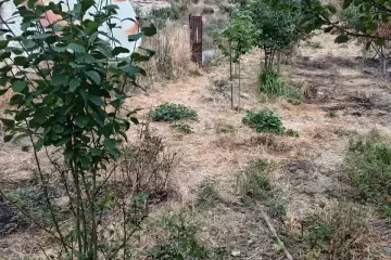 Satılır Həyət Evi Xızı Rayonunda