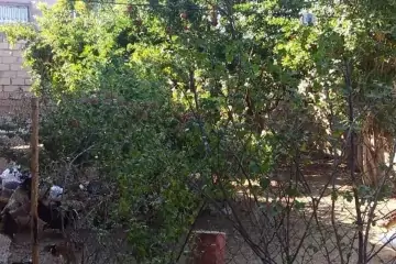 Satılır Həyət Evi Maştağada