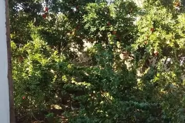 Satılır Həyət Evi Maştağada