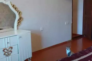 Satılır Həyət Evi Maştağada