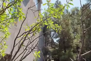 Satılır Həyət Evi şüvəlanda