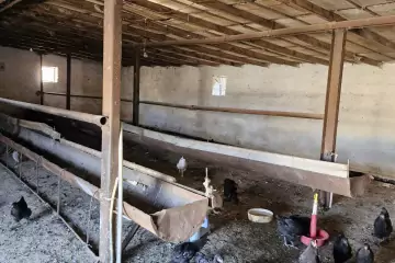 Satılır Yeni Tikili Baharda