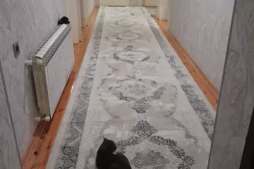 Satılır Həyət Evi Buzovnada