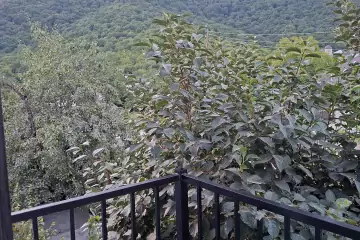 Günlük Kirayə Yeni Tikili Qəbələ şəhərində