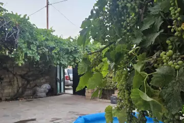 Satılır Həyət Evi Binəqədidə