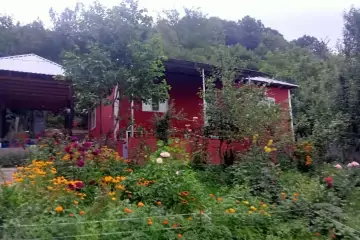 Günlük Kirayə Həyət Evi Vəndam Qəsəbəsində
