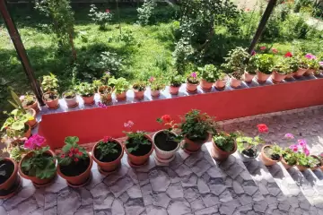 Günlük Kirayə Həyət Evi Vəndam Qəsəbəsində