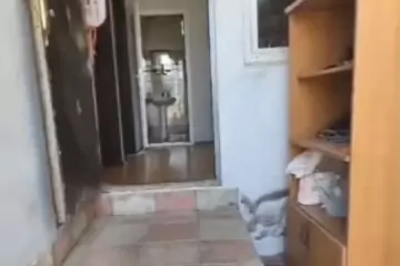 Satılır Həyət Evi Masazırda