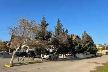 Satılır Torpaq Sarayda 