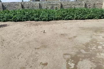 Satılır Torpaq Maştağada