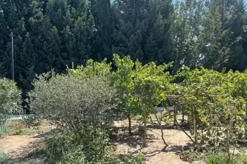 Satılır Bağ Evi Nardaranda