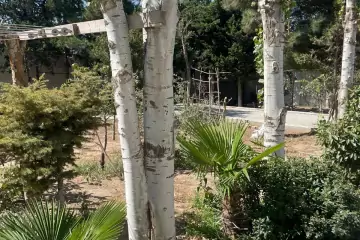 Satılır Bağ Evi Nardaranda