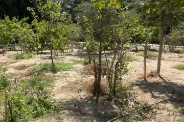 Satılır Bağ Evi Nardaranda
