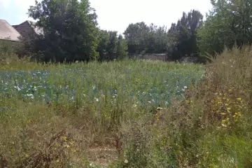 Satılır Torpaq Gədəbəy Rayonunda