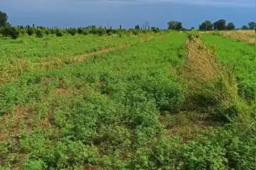 Satılır Torpaq Qusar Rayonunda